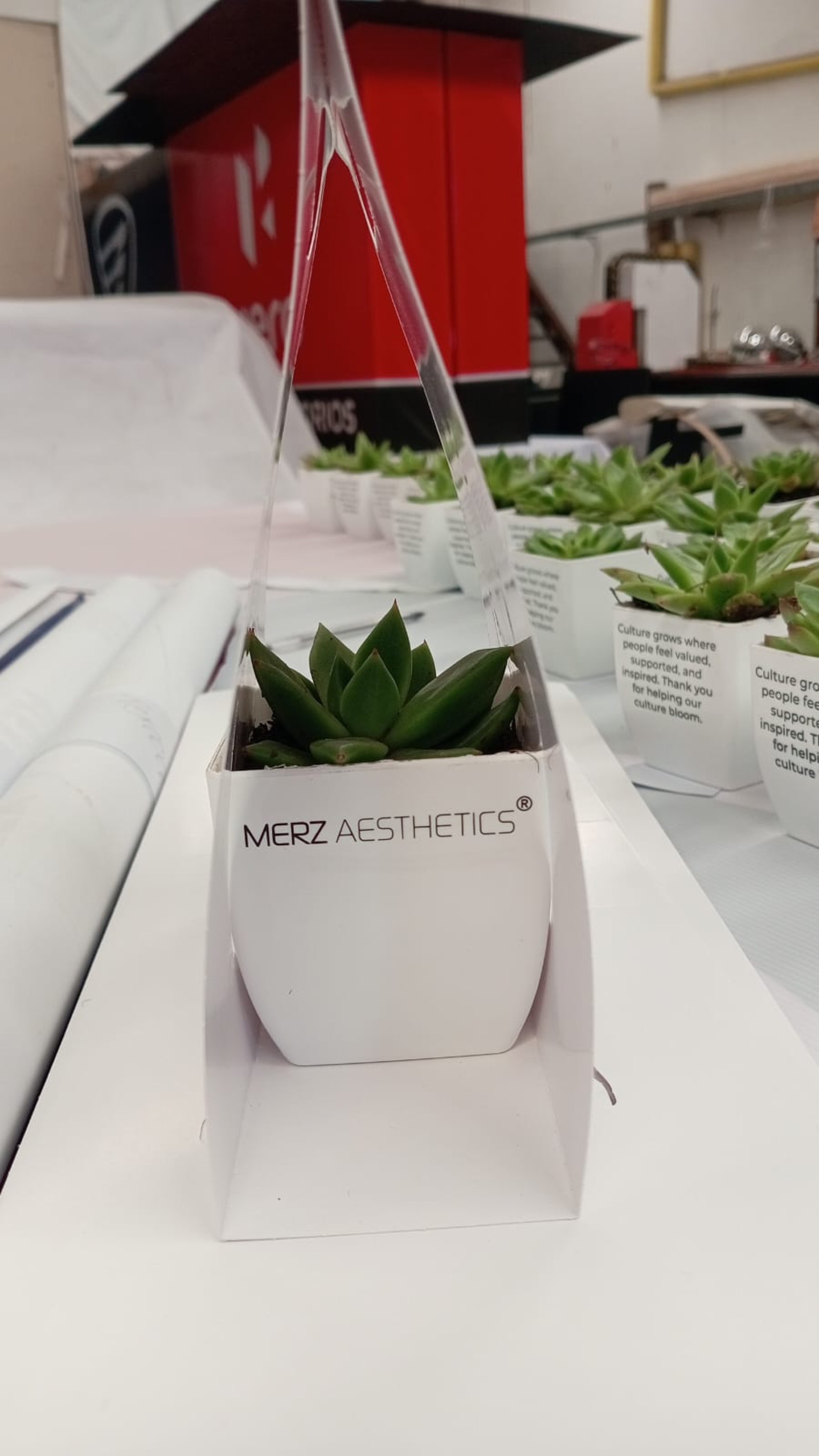 Macetas Impresas para Merz Aesthetics: un Detalle que Cultiva Cultura