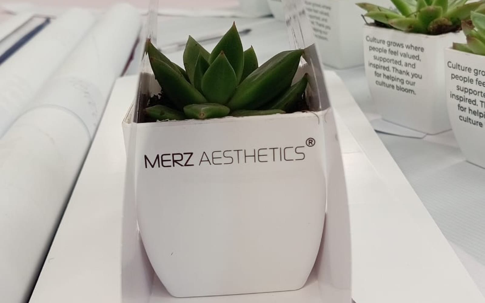 Macetas impresas en serigrafia para Merz Aesthetics